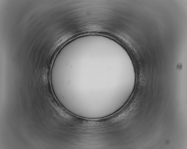 X0000097290873200802291748