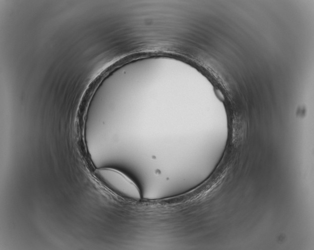 X0000097290876200802291748