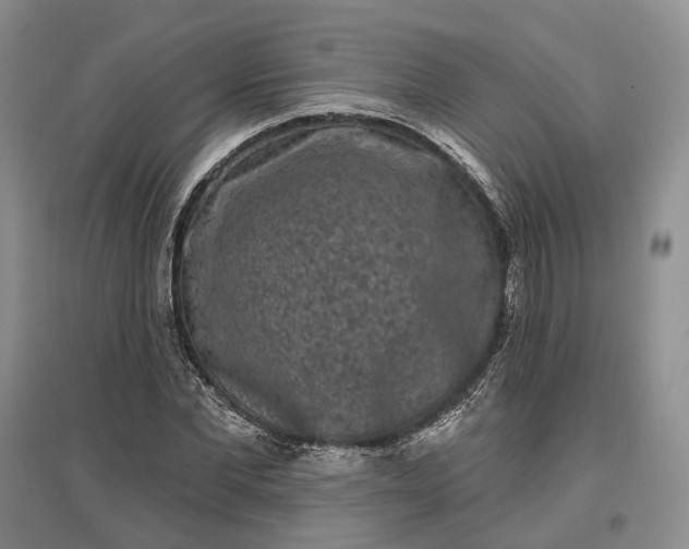 X0000097290877200802291748