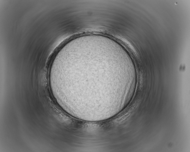X0000097290878200802291748