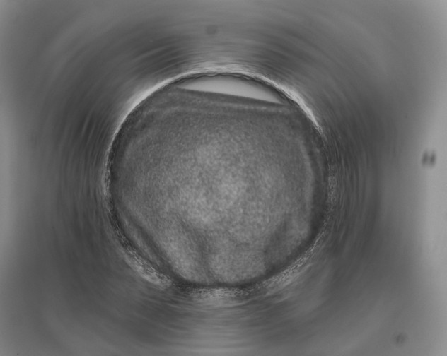 X0000097290879200802291748