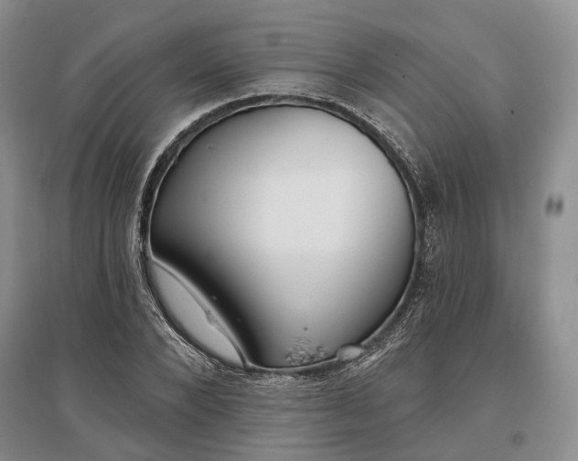 X0000097290880200802291748