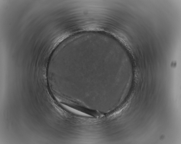 X0000097290881200802291748