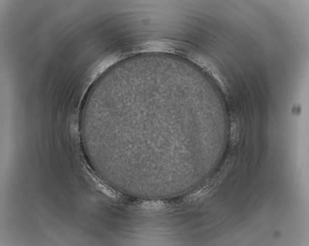 X0000097290882200802291748