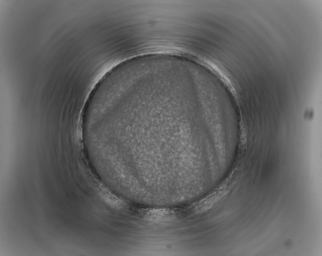 X0000097290883200802291748