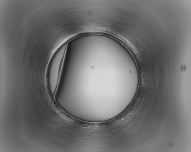 X0000097290885200802291748