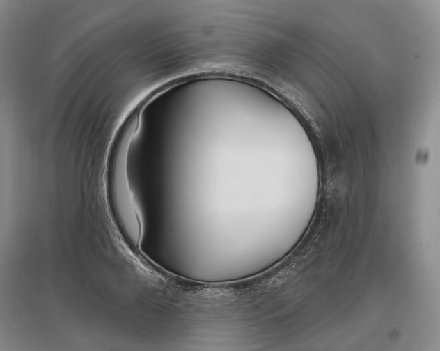 X0000097290888200802291748