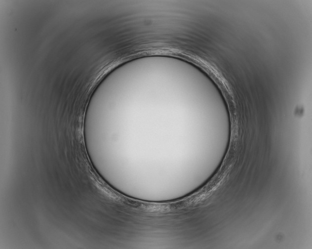 X0000097290889200802291748