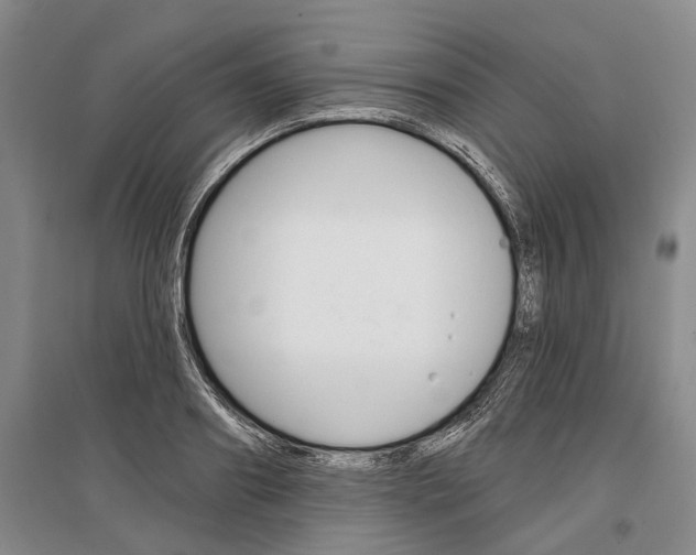 X0000097290890200802291748