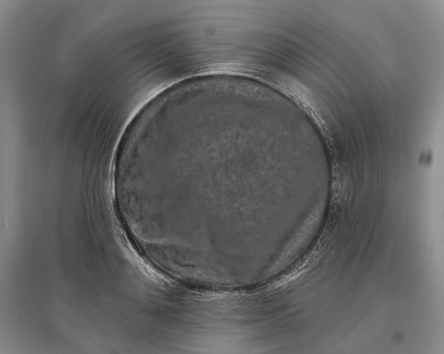 X0000097290892200802291748