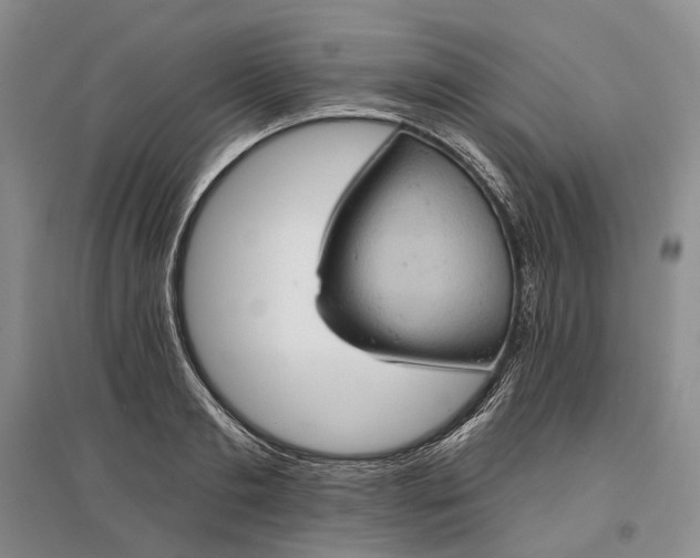 X0000097290893200802291748