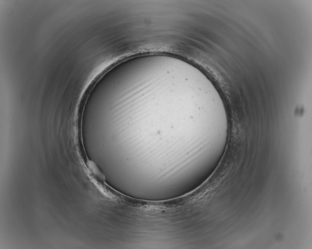 X0000097290894200802291748