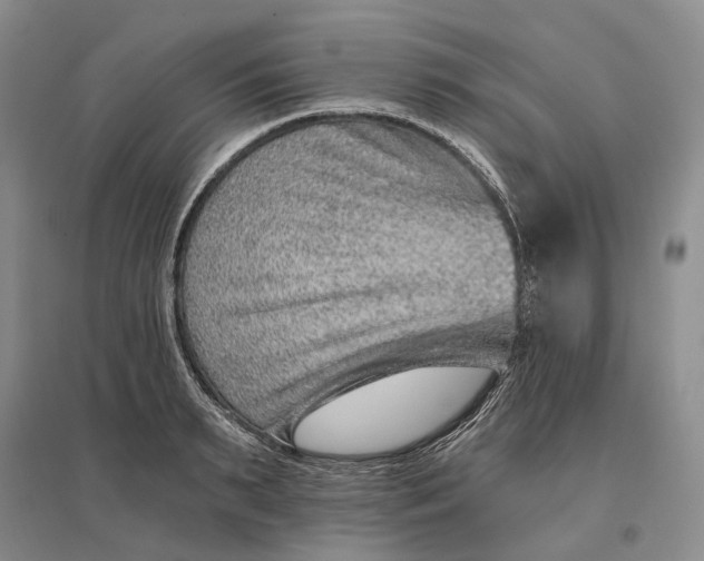 X0000097290895200802291748