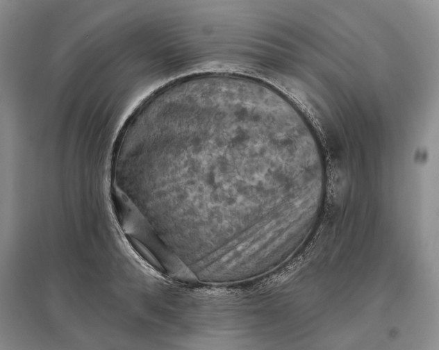 X0000097290896200802291748