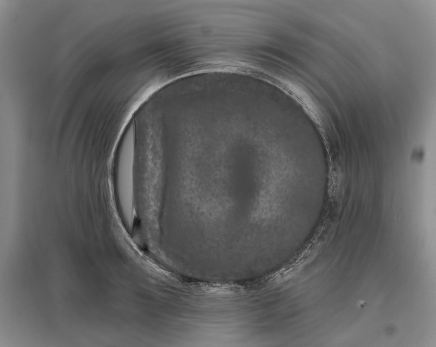 X0000097290899200802291748