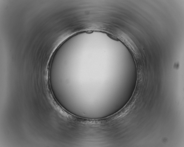 X0000097290900200802291748