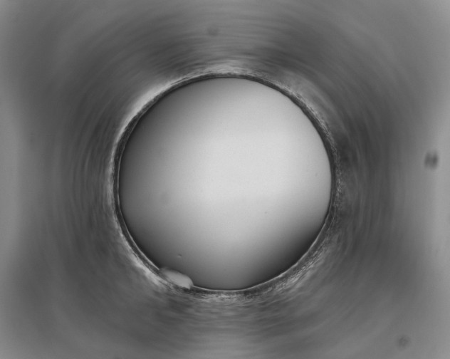 X0000097290902200802291748