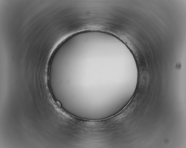 X0000097290904200802291748
