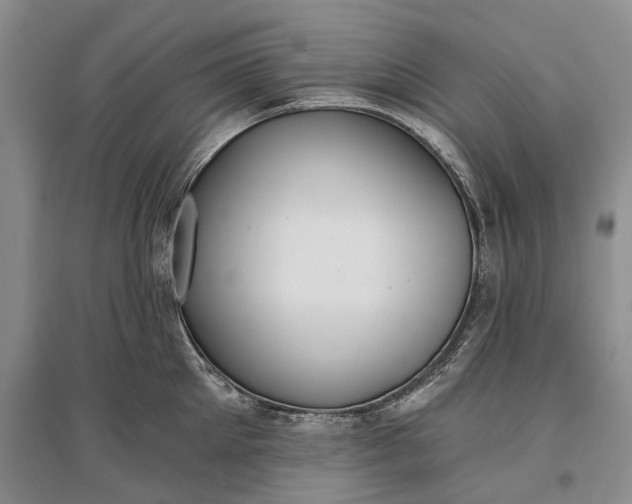 X0000097290905200802291748