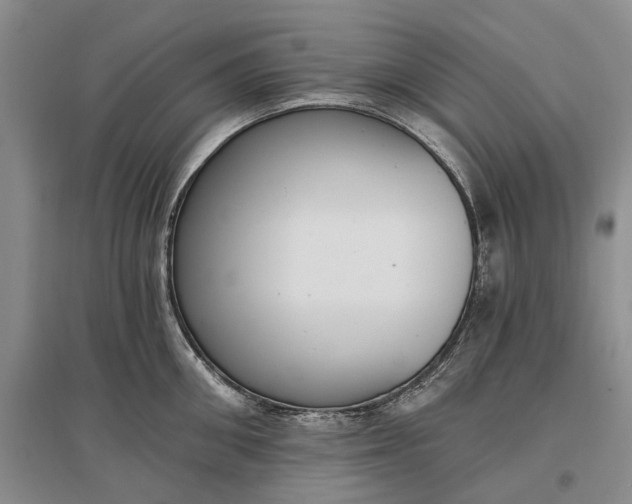 X0000097290906200802291748