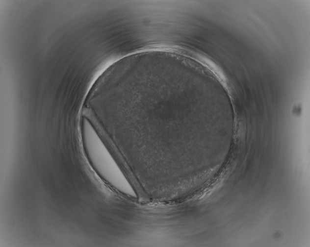 X0000097290907200802291748