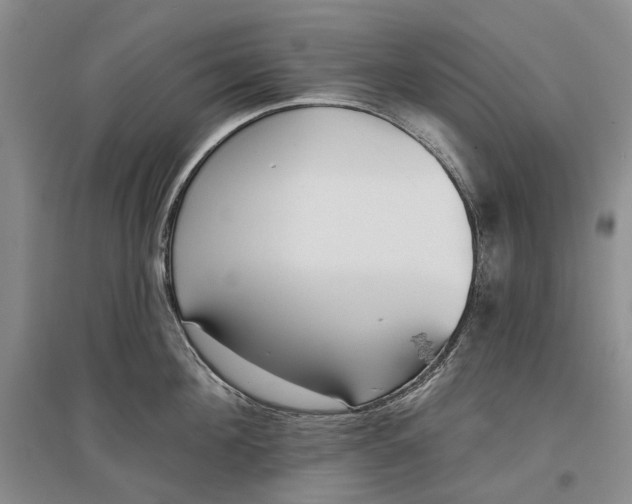 X0000097290908200802291748