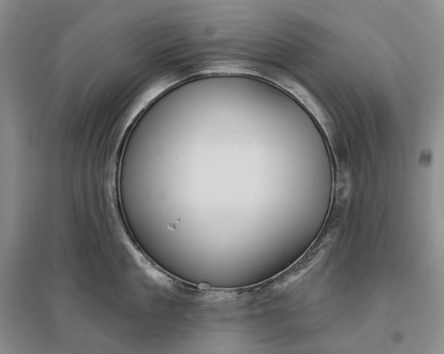 X0000097290909200802291748