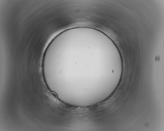 X0000097290912200802291748