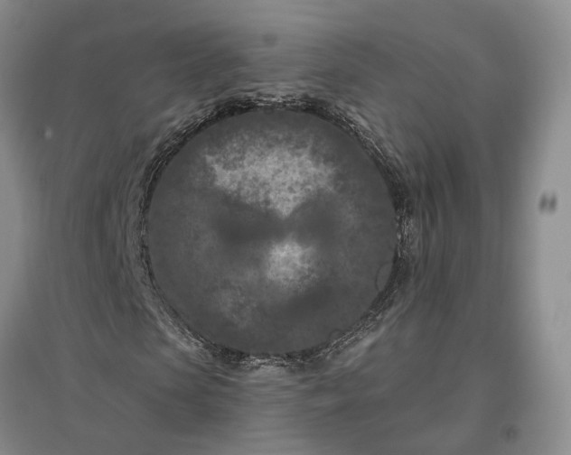 X0000097290913200802291747