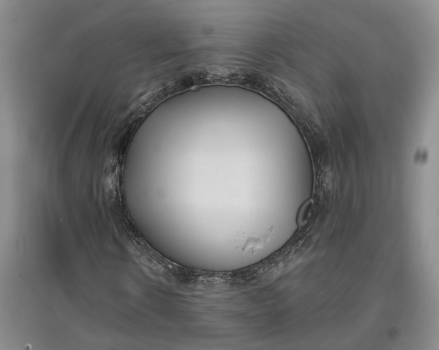 X0000097290914200802291747