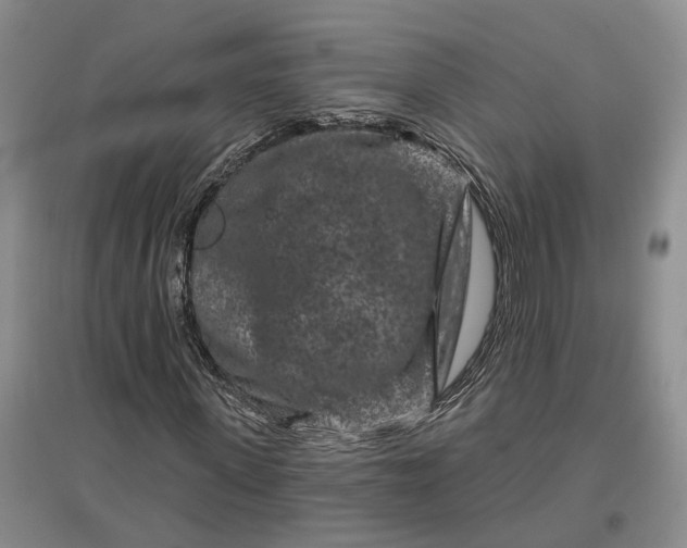 X0000097290915200802291747