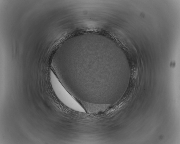 X0000097290916200802291747