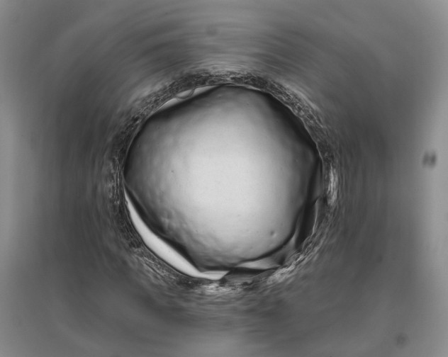 X0000097290917200802291747