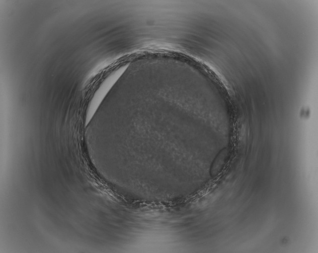 X0000097290919200802291747