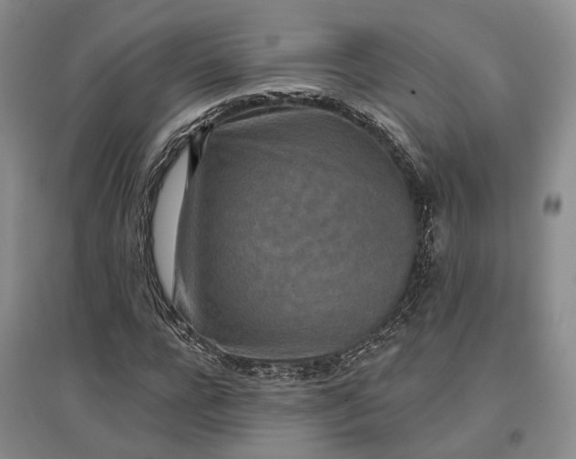 X0000097290920200802291747