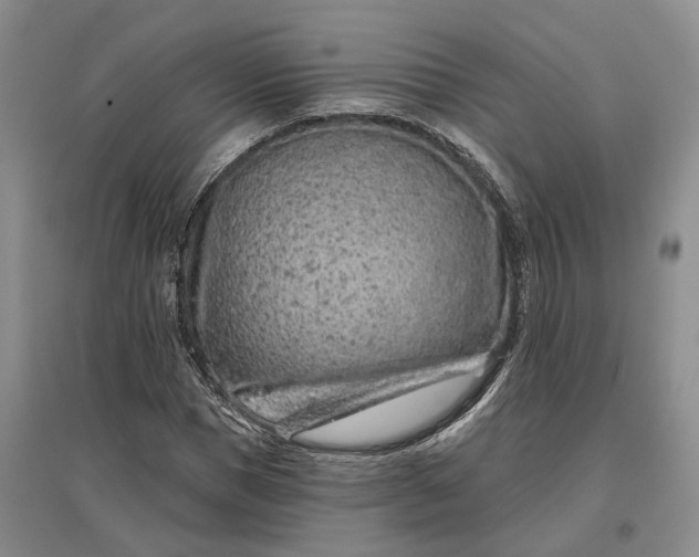 X0000097290921200802291747