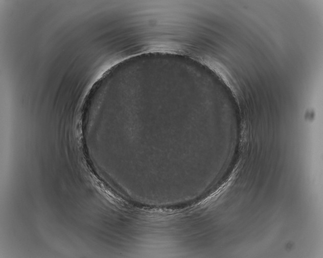X0000097290923200802291747