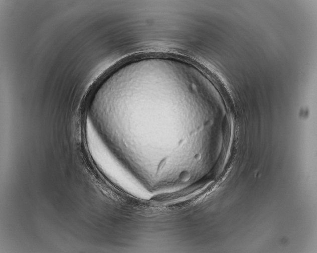 X0000097290925200802291747