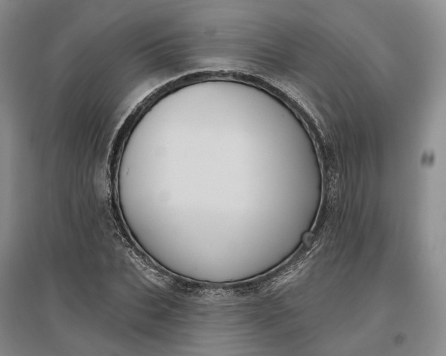 X0000097290927200802291747