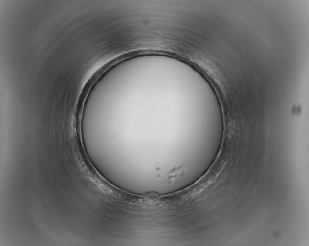 X0000097290928200802291747