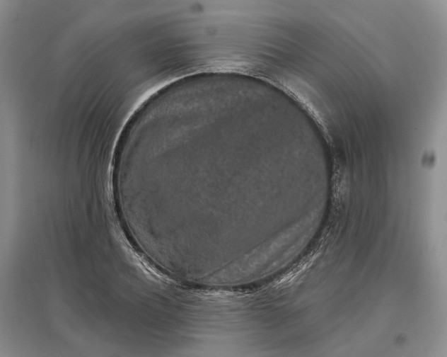 X0000097290932200802291747