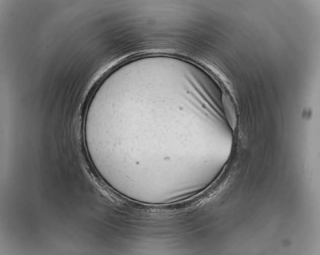 X0000097290933200802291747