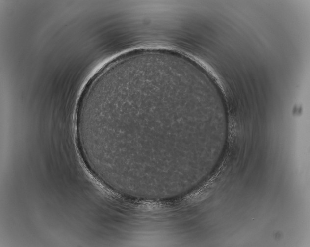 X0000097290935200802291747