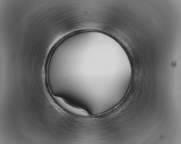 X0000097290936200802291747