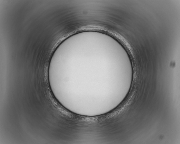X0000097290937200802291747