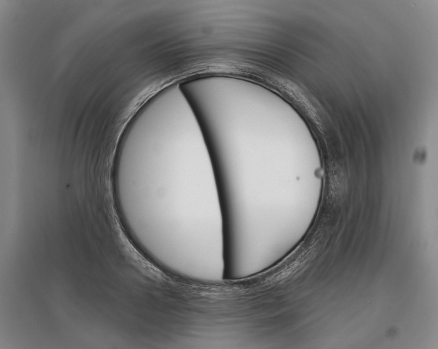 X0000097290938200802291747