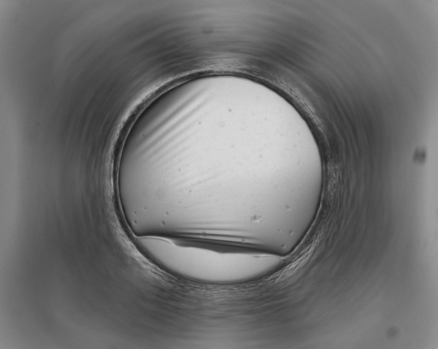 X0000097290939200802291747