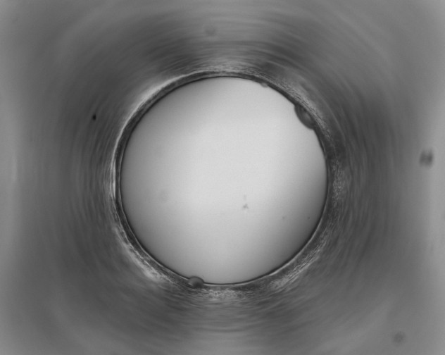 X0000097290940200802291748