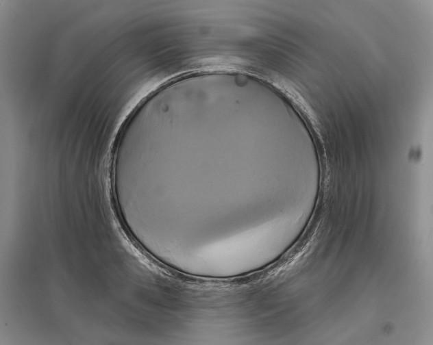 X0000097290941200802291748