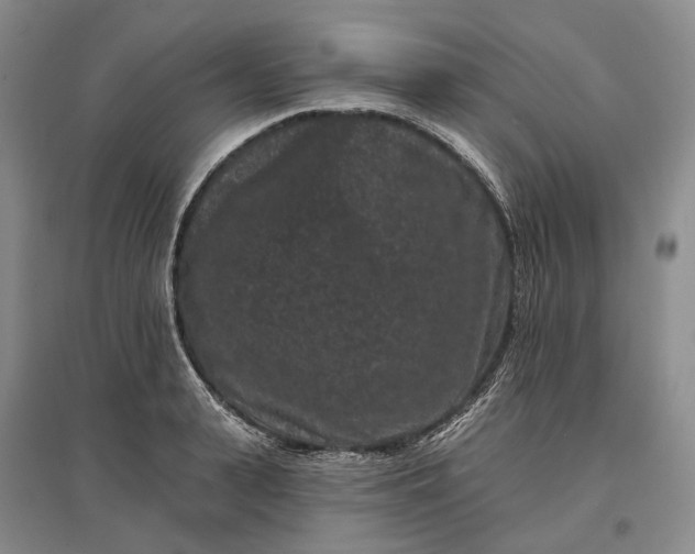 X0000097290943200802291748